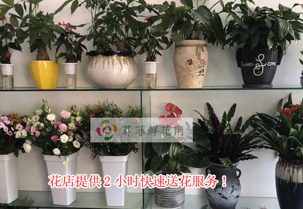 临汾古县花店提供临汾古县2小时快速送花服务